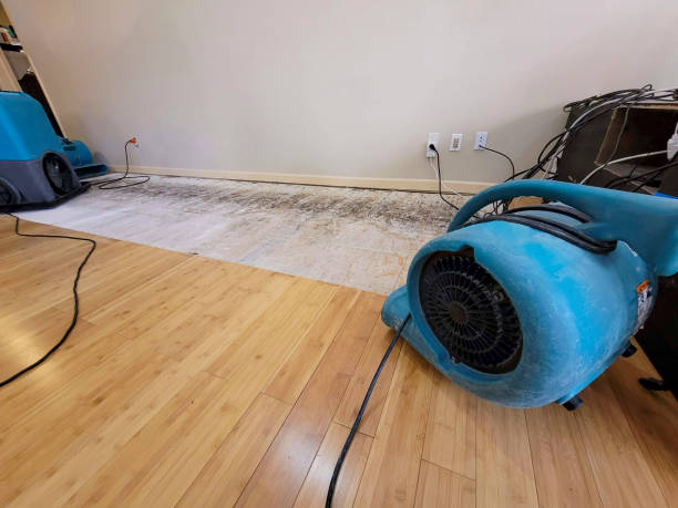 Professional Structural Drying technician working in Colton, OR